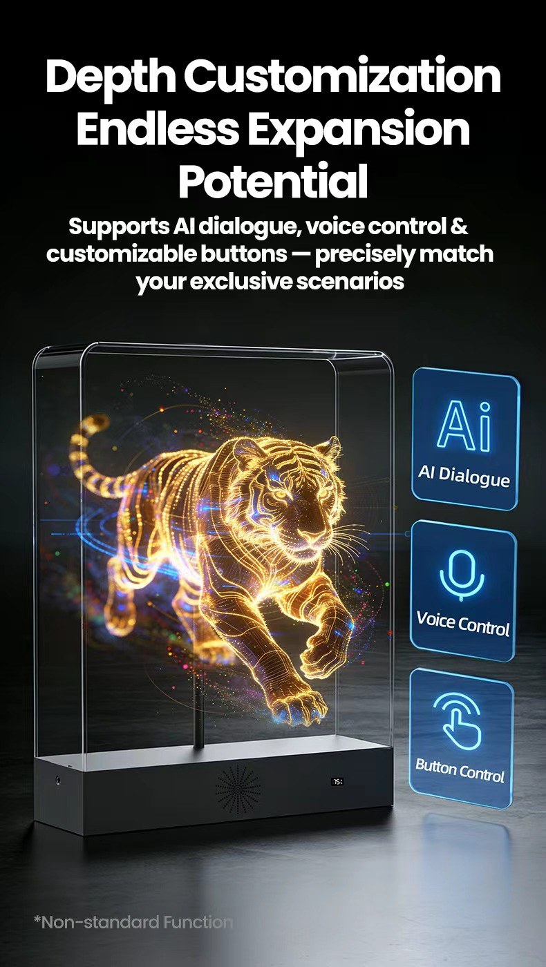Commercial Hologram Display